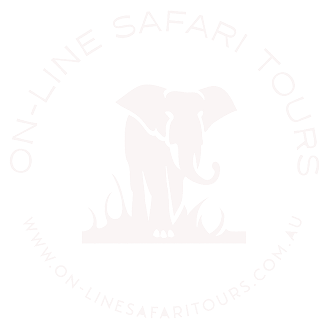On-line Safari Whte logo