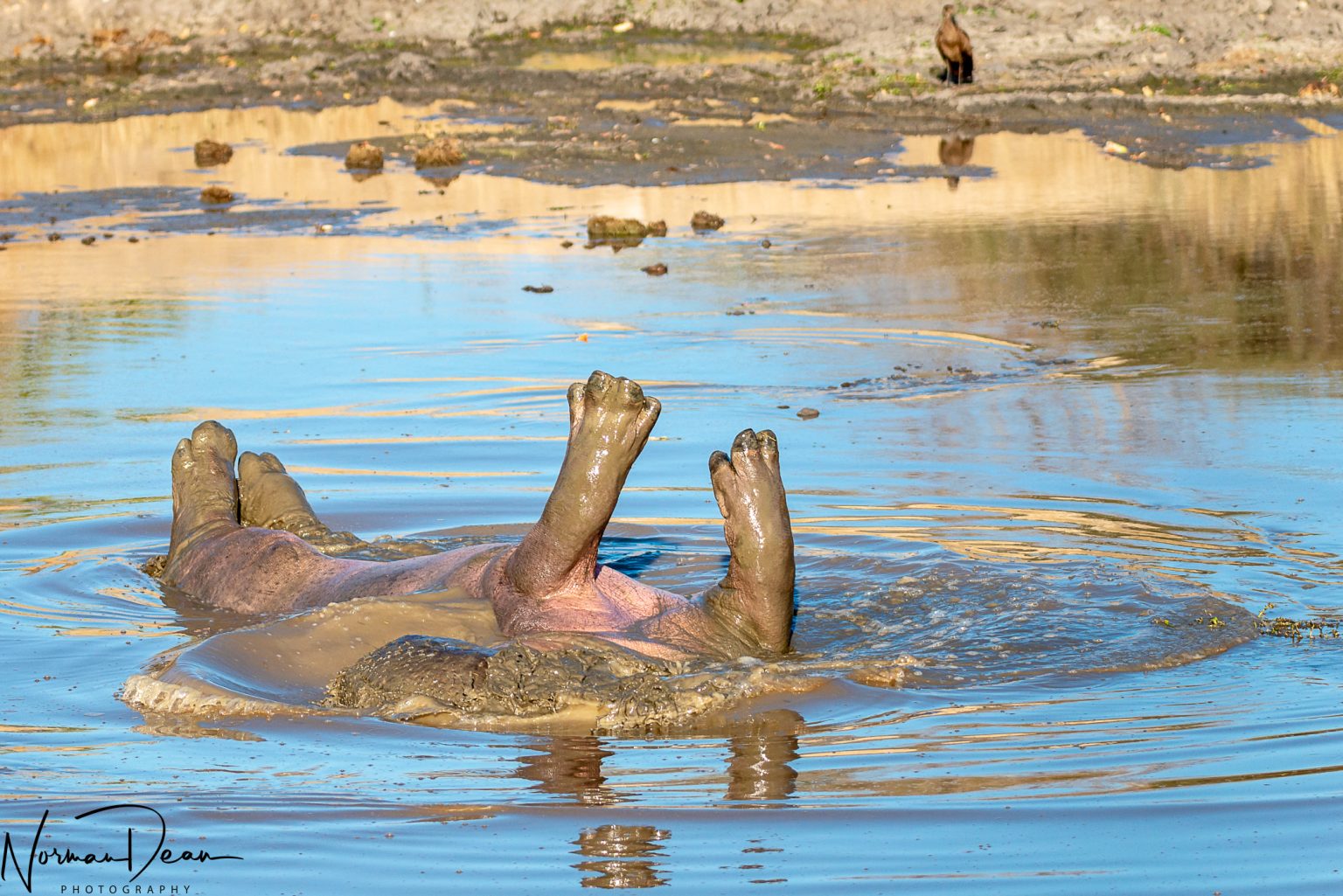 Africa Sept 2018