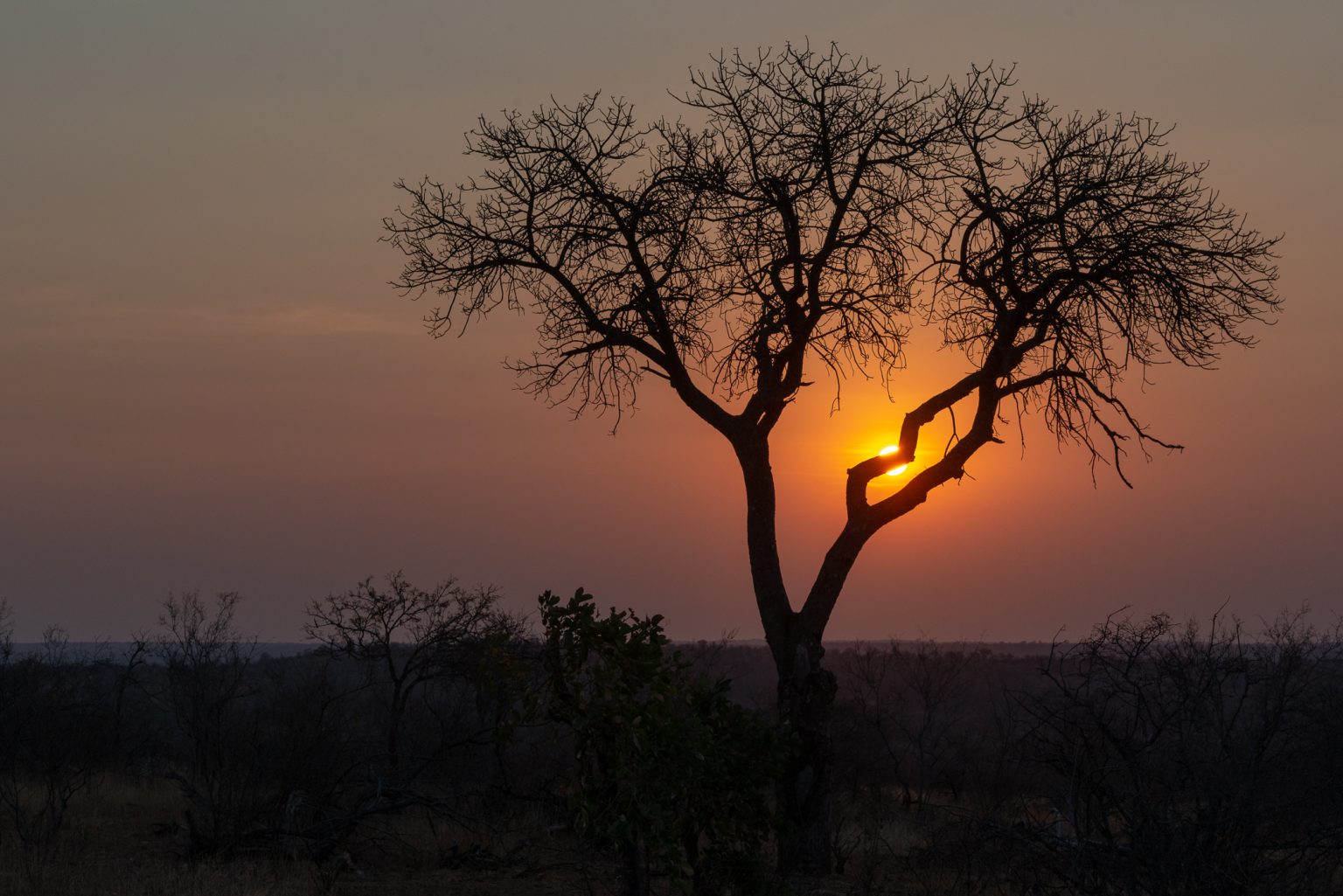 Africa Sept 2018
